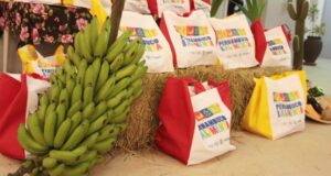 Governo do Estado oficializa Chamamento de Instituições do Programa Pernambuco que Alimenta