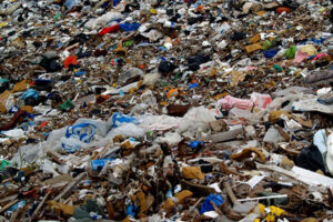 Em Orobó, Agreste de Pernambuco, corpo de bebê é achado em lixão