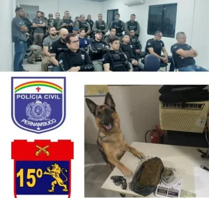 POLÍCIA CIVIL E MILITAR REALIZAM OPERAÇÃO EM CACHOEIRINHA/PE