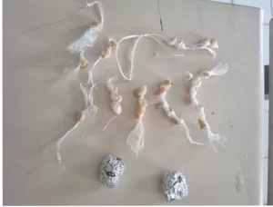 Homem foi preso com Crack e Maconha em lajedo