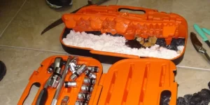 Apreensão de cocaína no país cresceu mais de 130% em dez anos