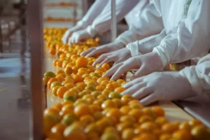 Fábrica de polpas desvia energia suficiente para abastecer 450 casas por um mês