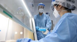 MORTES POR INFLUENZA: Pernambuco confirma primeiras MORTES por GRIPE em 2023