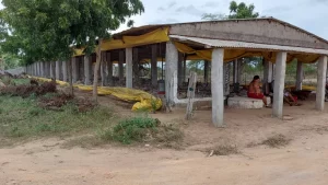 Dois homens são resgatados em situação análoga à escravidão em Frei Miguelinho, no Agreste