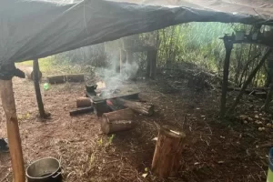 Polícia resgata quatro argentinos de trabalho análogo à escravidão no RS
