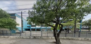 UPE oferece 342 vagas na Escola de Aplicação em quatro cidades; saiba como se inscrever