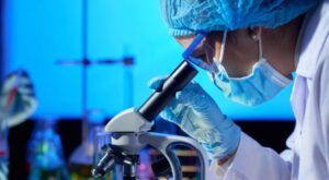 Morre mais um idoso com Candida auris em Pernambuco; é o 2º óbito pelo superfungo em 2023