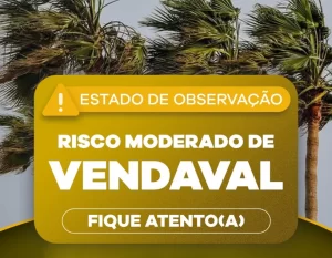 Inmet emite alerta de risco moderado de vendaval em cidades do Agreste e Sertão de PE