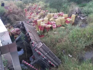 Motorista morre após capotar caminhão carregado com galinhas na BR-232