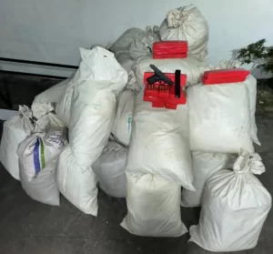 Polícia apreende quase uma tonelada de maconha em operação na zona rural de Tacaimbó