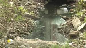 Em 65 cidades de PE, mais da metade da população vive sem esgoto adequado, diz Censo do IBGE