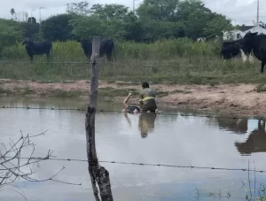 Mulher foi assassinada no Distrito de Cantinho, em Lajedo