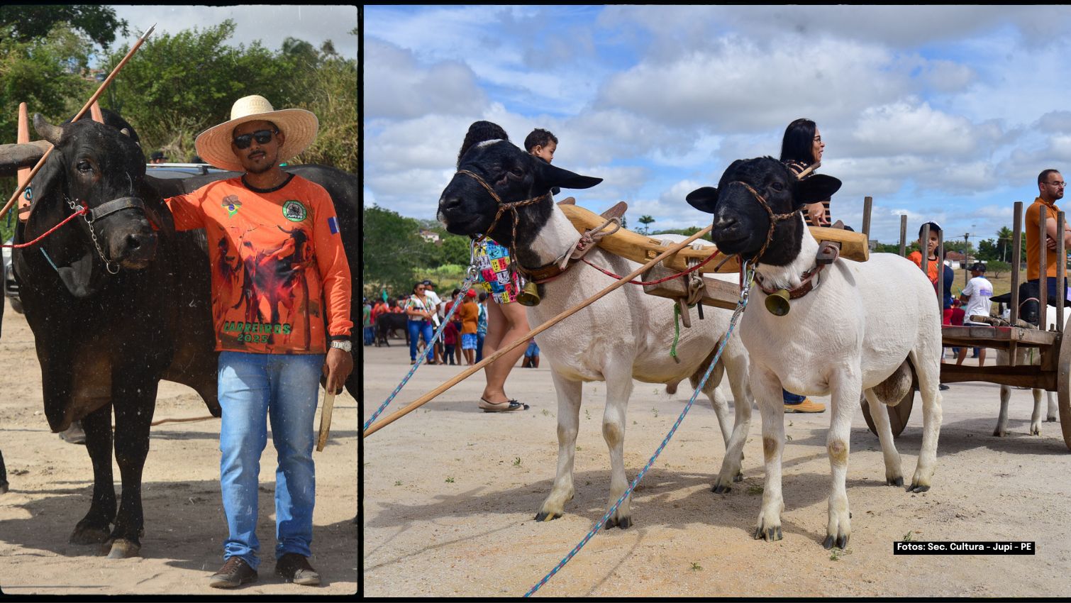 Festa do Carro de Boi - Jupi - PE