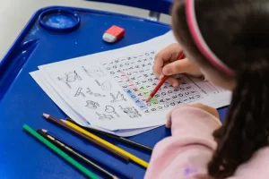 Proposta de Ensino Domiciliar no Novo PNE Mobiliza Especialistas e Reacende Debate