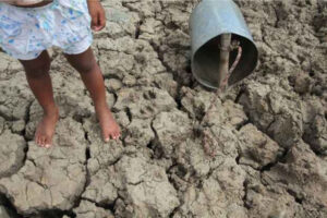Grande Parte do Agreste Meridional de Pernambuco Sofre com a Seca