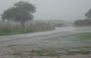 Apac: chove forte em municípios da região de ‘seca extrema’ no Sertão, nesta quarta (4)