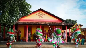 Aliança: 60 Anos do Maracatu Estrela de Ouro e Sua Tradição Cultural