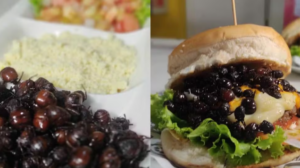 Tanajura chega a custar R$ 300 e vira hambúrguer, pizza e petisco no Agreste de Pernambuco