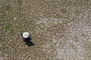 Pernambuco lidera ranking da seca no Nordeste com 91% do território afetado